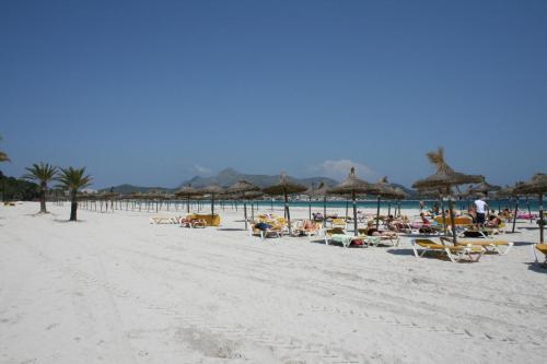 Apartment Ses Dalies