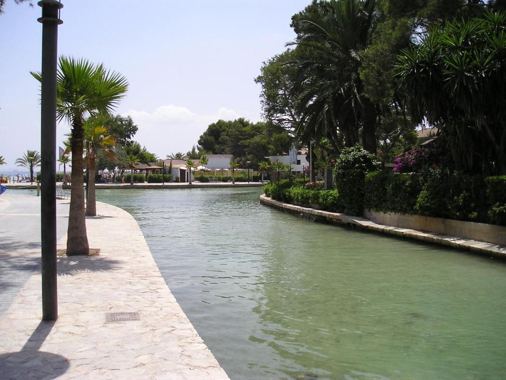 Ses Dalies Apartment