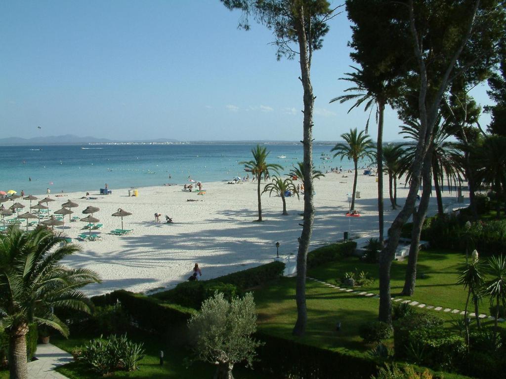 Apartment Ses Dalies *