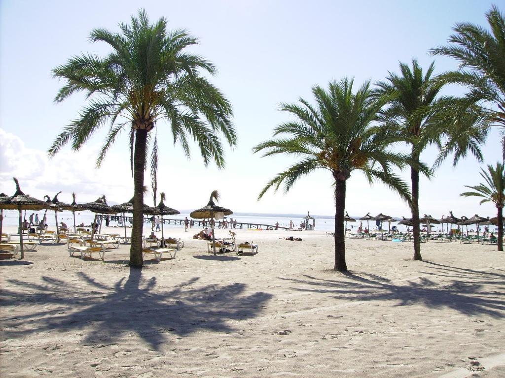 Ses Dalies * Port d'Alcúdia